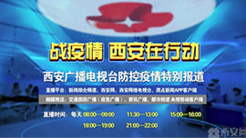 无法加载